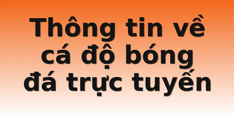 Thông tin về cá độ bóng đá trực tuyến 