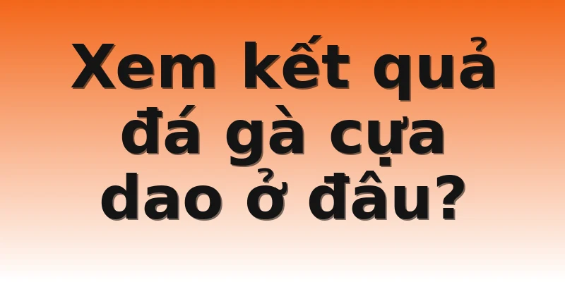 Xem kết quả đá gà cựa dao ở đâu?