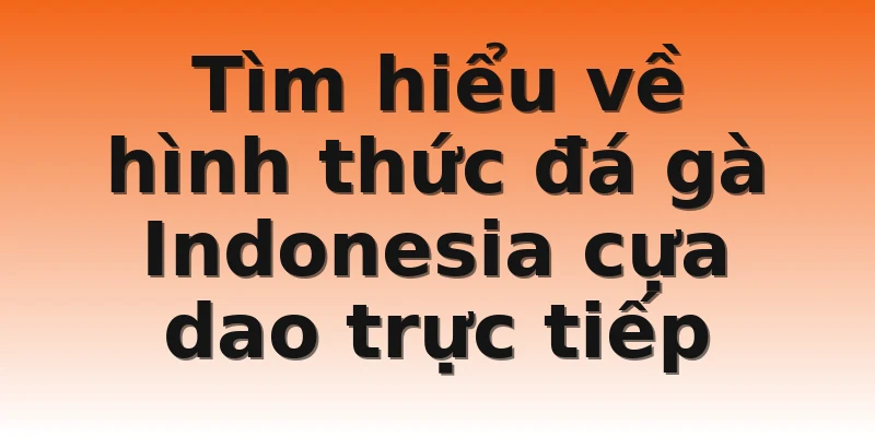 Tìm hiểu về hình thức đá gà Indonesia cựa dao trực tiếp