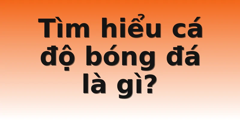 Tìm hiểu cá độ bóng đá là gì?