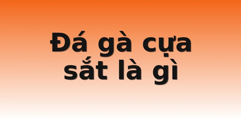 Đá gà cựa sắt là gì