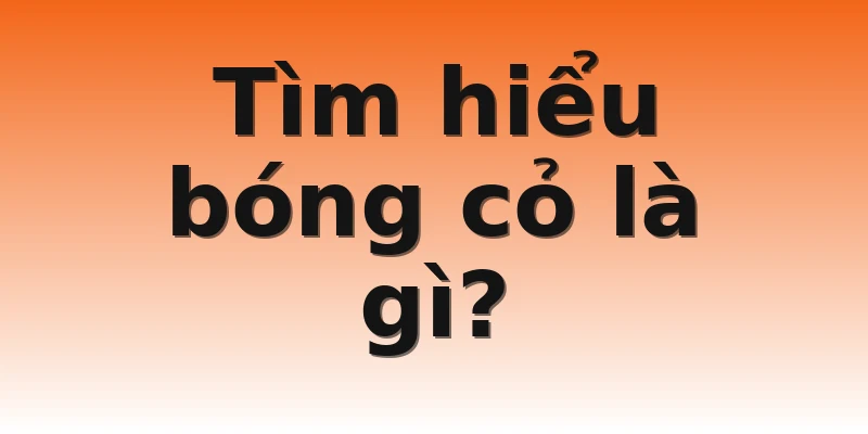 Tìm hiểu bóng cỏ là gì?
