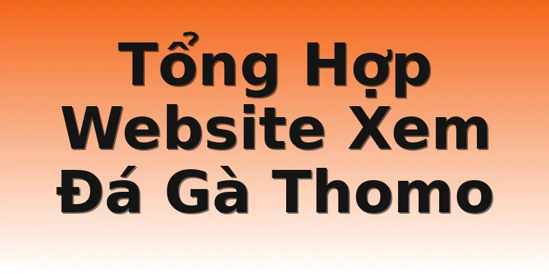 Tổng Hợp Website Xem Đá Gà Thomo