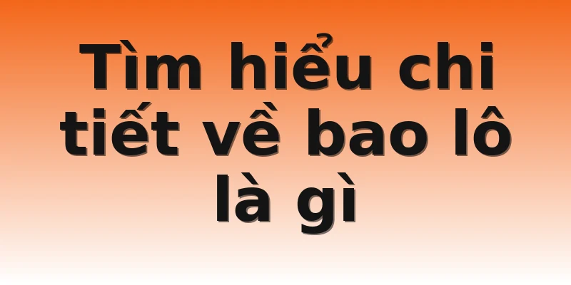 Tìm hiểu chi tiết về bao lô là gì