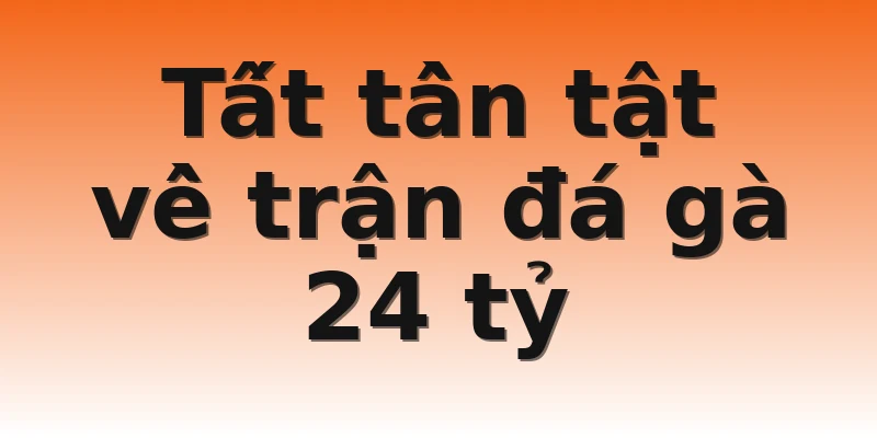 Tất tần tật về trận đá gà 24 tỷ