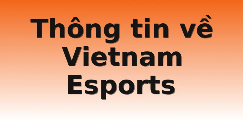 Thông tin về Vietnam Esports