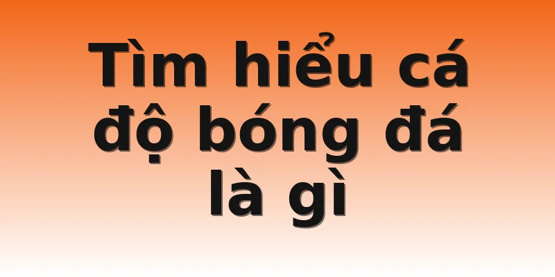 Tìm hiểu cá độ bóng đá là gì