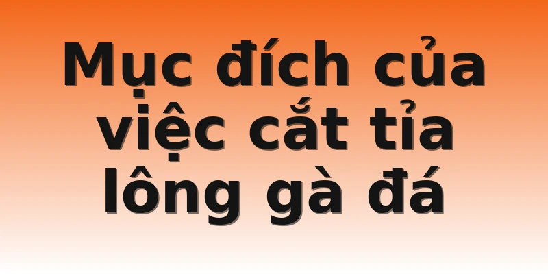 Mục đích của việc cắt tỉa lông gà đá