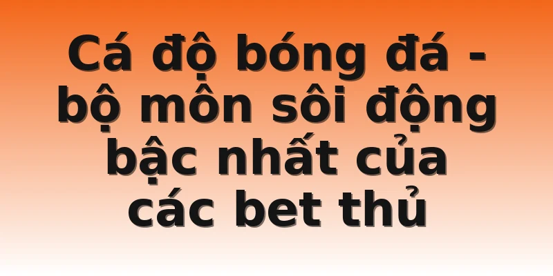 Cá độ bóng đá - bộ môn sôi động bậc nhất của các bet thủ