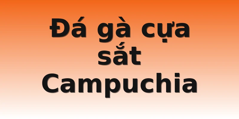 Đá gà cựa sắt Campuchia