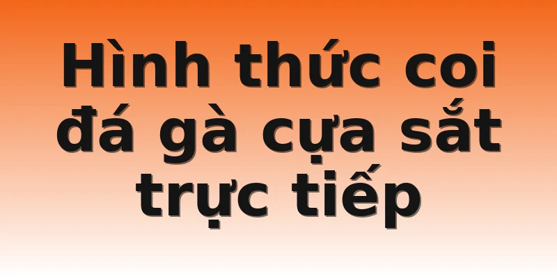 Hình thức coi đá gà cựa sắt trực tiếp