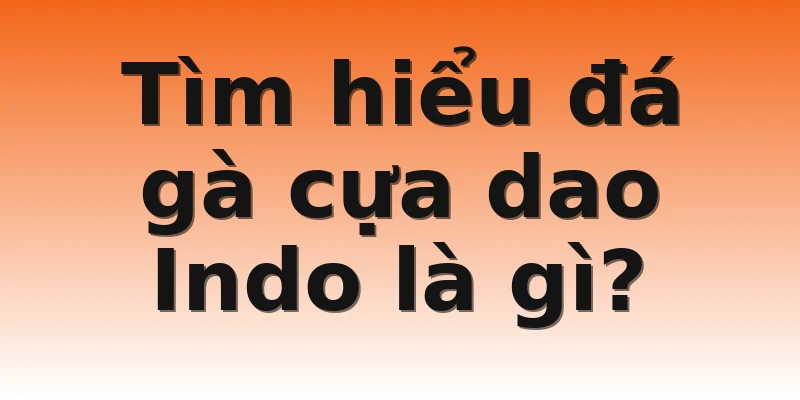 Tìm hiểu đá gà cựa dao Indo là gì?