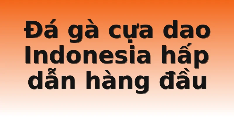 Đá gà cựa dao Indonesia hấp dẫn hàng đầu