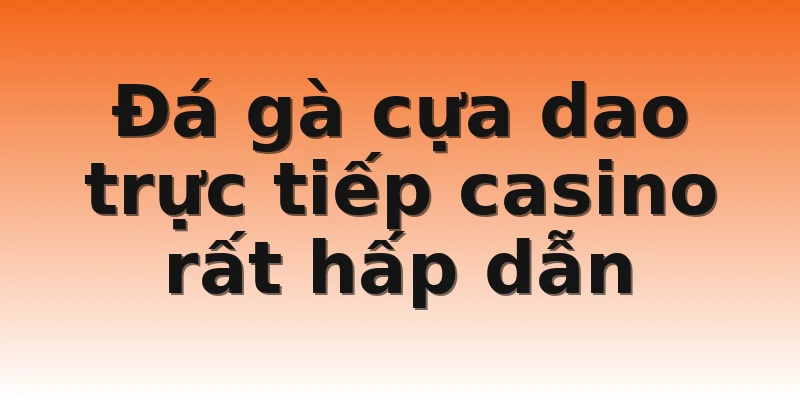 Đá gà cựa dao trực tiếp casino rất hấp dẫn