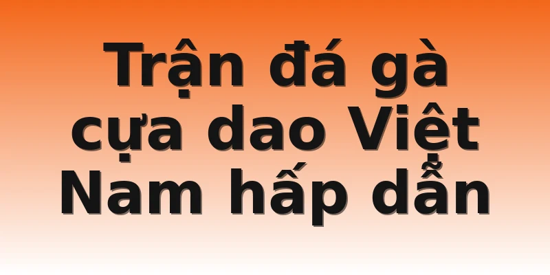 Trận đá gà cựa dao Việt Nam hấp dẫn