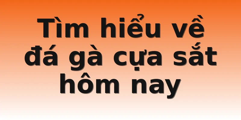 Tìm hiểu về đá gà cựa sắt hôm nay