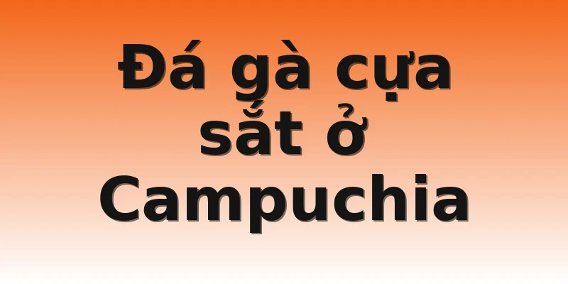 Đá gà cựa sắt ở Campuchia