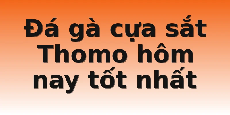 Đá gà cựa sắt Thomo hôm nay tốt nhất