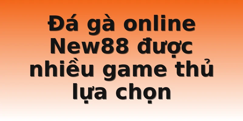 Đá gà online New88 được nhiều game thủ lựa chọn
