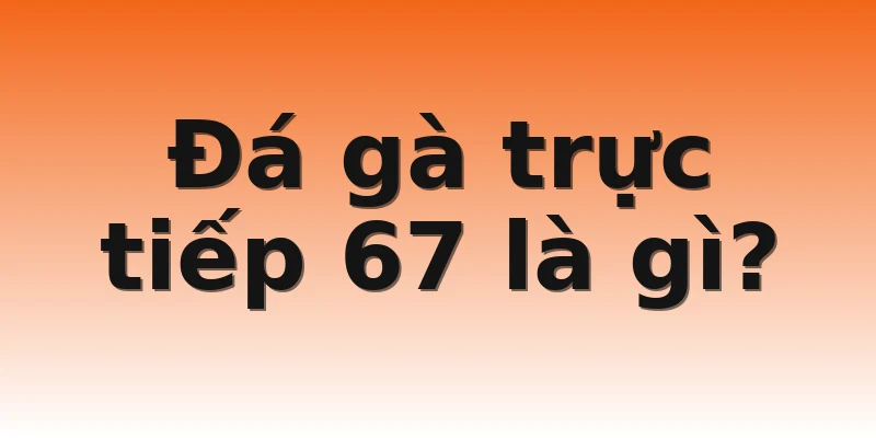 Đá gà trực tiếp 67 là gì?