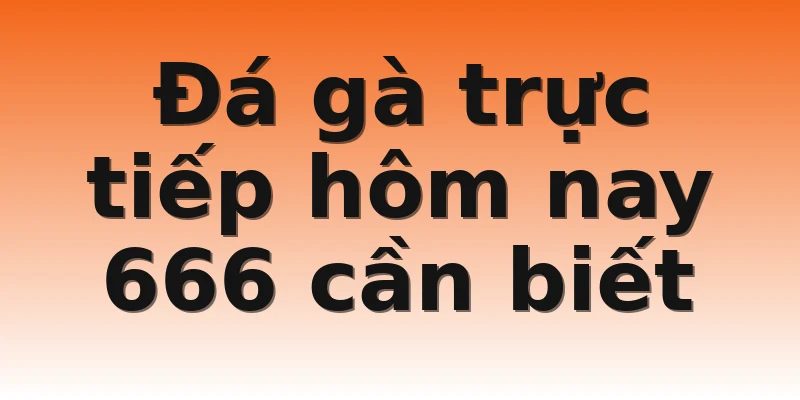 Đá gà trực tiếp hôm nay 666 cần biết