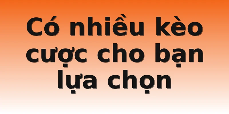 Có nhiều kèo cược cho bạn lựa chọn