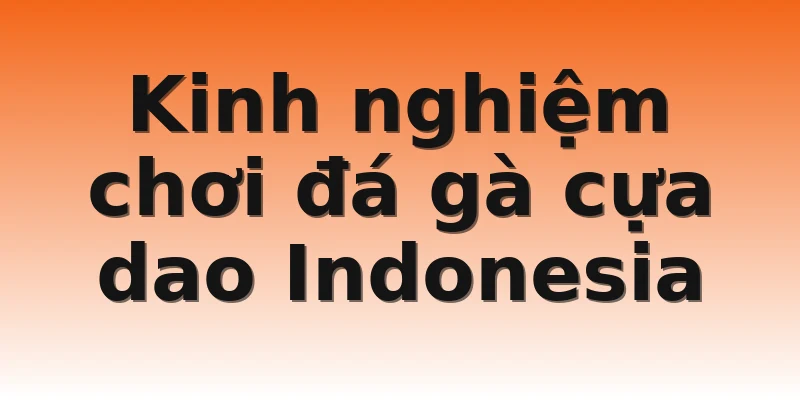 Kinh nghiệm chơi đá gà cựa dao Indonesia