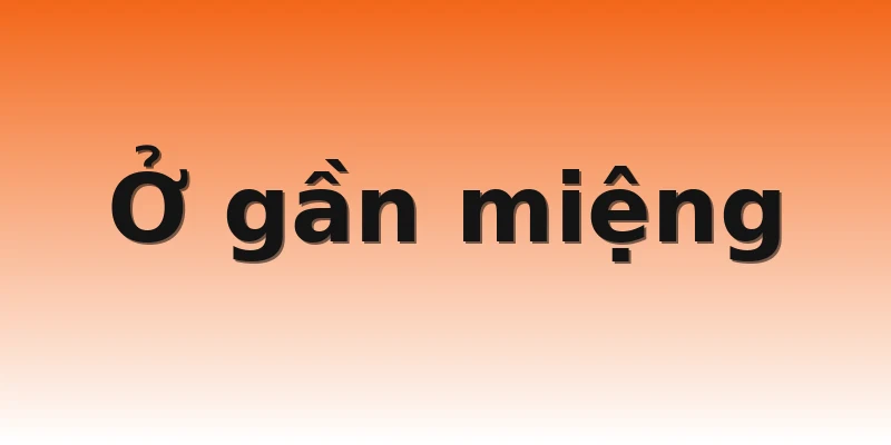 Ở gần miệng 