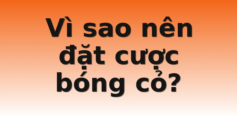 Vì sao nên đặt cược bóng cỏ?