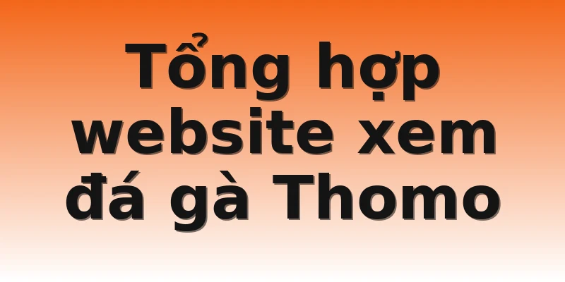 Tổng hợp website xem đá gà Thomo