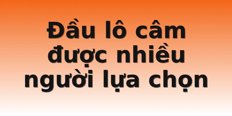 Đầu lô câm được nhiều người lựa chọn