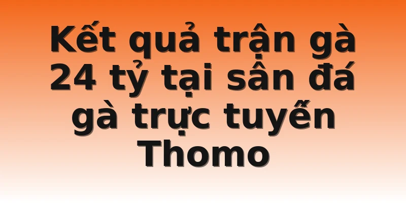 Kết quả trận gà 24 tỷ tại sân đá gà trực tuyến Thomo