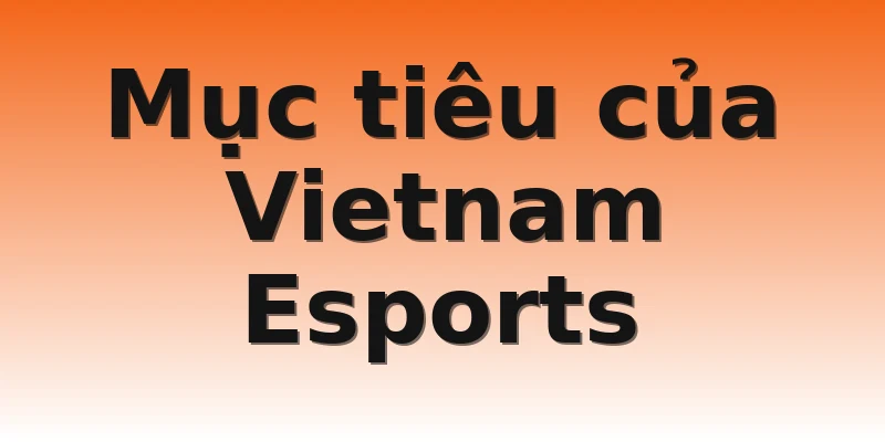 Mục tiêu của Vietnam Esports