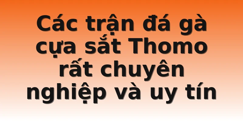 Các trận đá gà cựa sắt Thomo rất chuyên nghiệp và uy tín