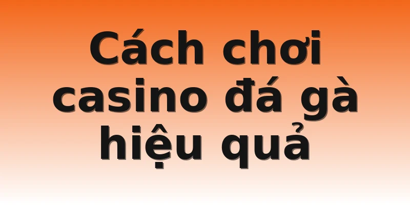 Cách chơi casino đá gà hiệu quả