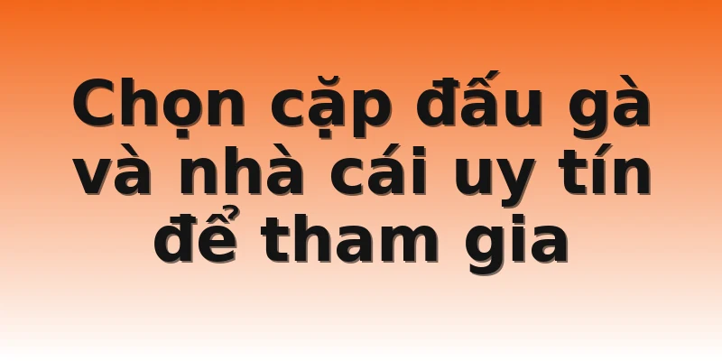 Chọn cặp đấu gà và nhà cái uy tín để tham gia