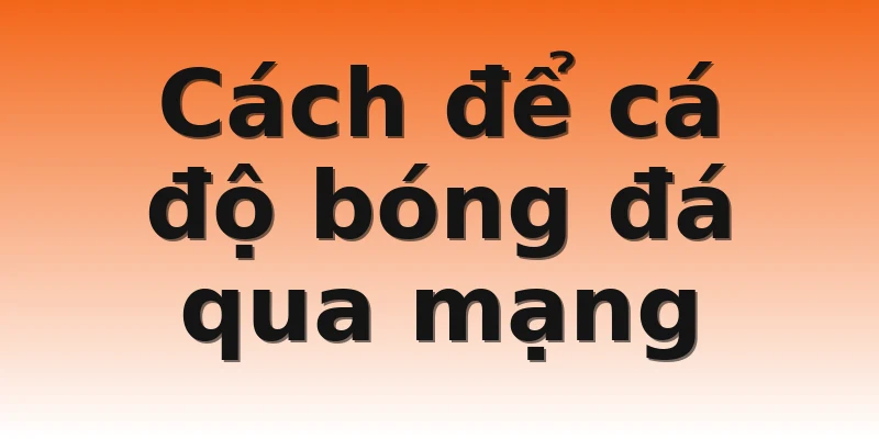 Cách để cá độ bóng đá qua mạng