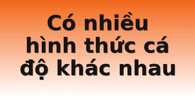 Có nhiều hình thức cá độ khác nhau