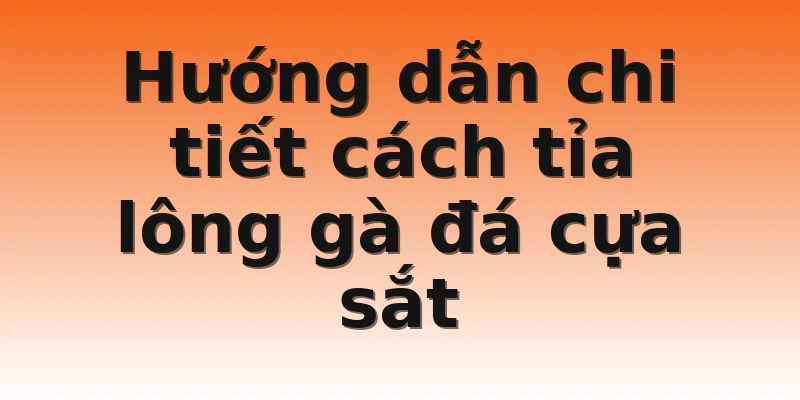 Hướng dẫn chi tiết cách tỉa lông gà đá cựa sắt