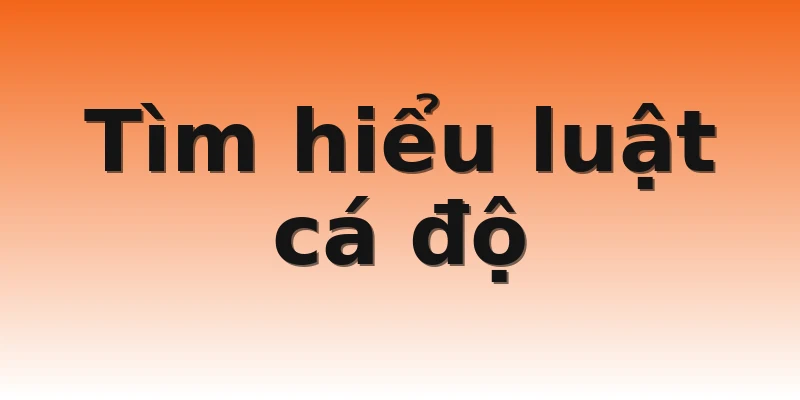 Tìm hiểu luật cá độ