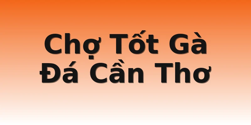 Chợ Tốt Gà Đá Cần Thơ