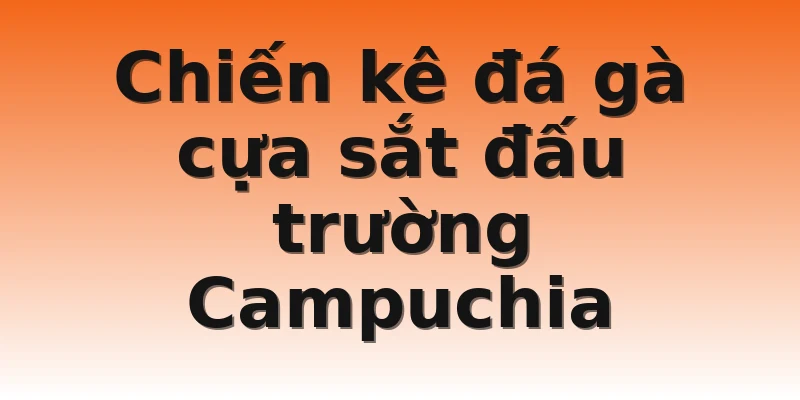 Chiến kê đá gà cựa sắt đấu trường Campuchia