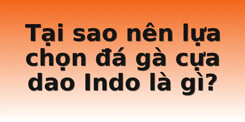 Tại sao nên lựa chọn đá gà cựa dao Indo là gì?