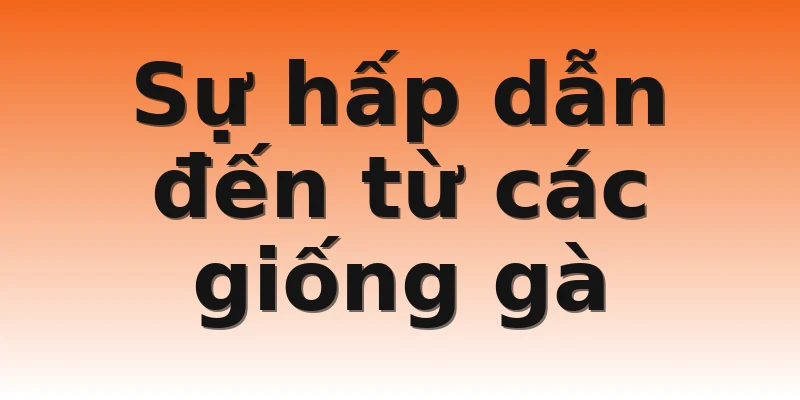 Sự hấp dẫn đến từ các giống gà