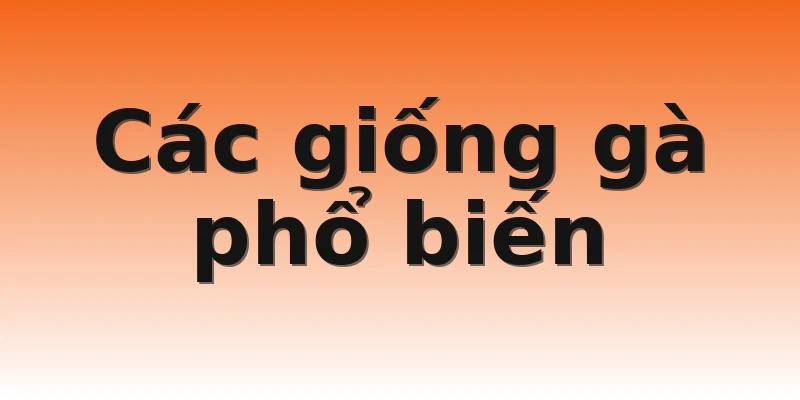 Các giống gà phổ biến
