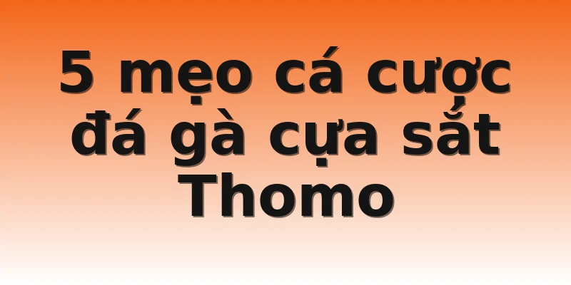 5 mẹo cá cược đá gà cựa sắt Thomo