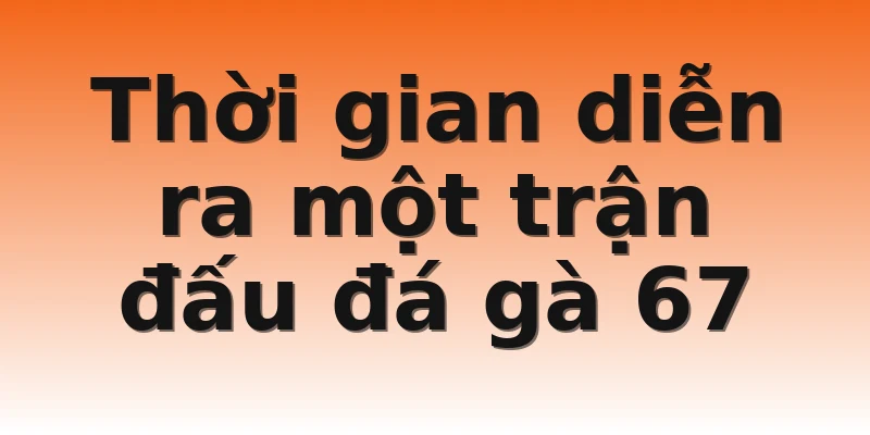 Thời gian diễn ra một trận đấu đá gà 67