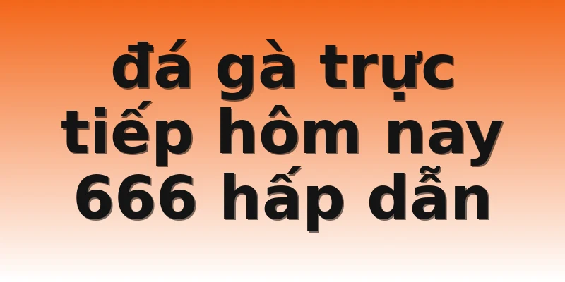 đá gà trực tiếp hôm nay 666 hấp dẫn