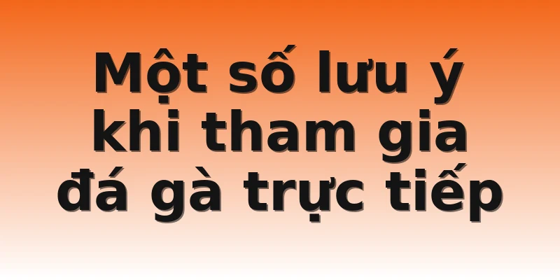 Một số lưu ý khi tham gia đá gà trực tiếp