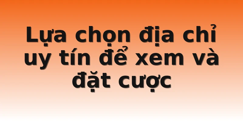 Lựa chọn địa chỉ uy tín để xem và đặt cược
